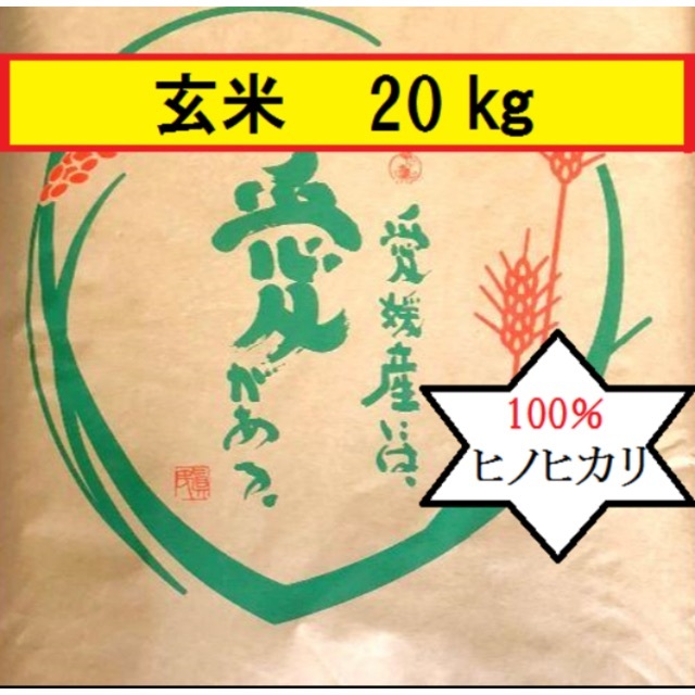 お米　令和元年　愛媛県産ヒノヒカリ　玄米　20㎏ 食品/飲料/酒の食品(米/穀物)の商品写真