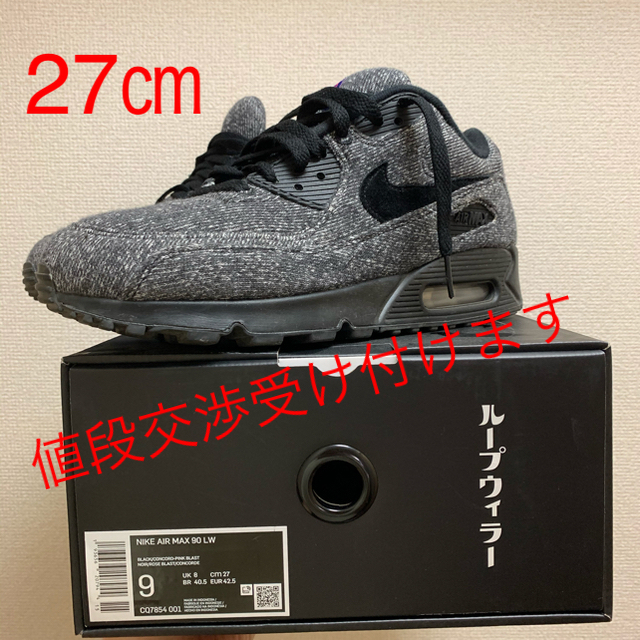 NIKE(ナイキ)のNIKE air max90 LW エアーマックス90 ループウィラー　27㎝ メンズの靴/シューズ(スニーカー)の商品写真