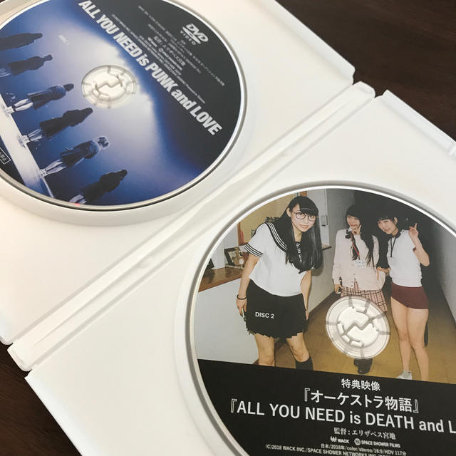 じん様専用　bish×2 エンタメ/ホビーのDVD/ブルーレイ(日本映画)の商品写真