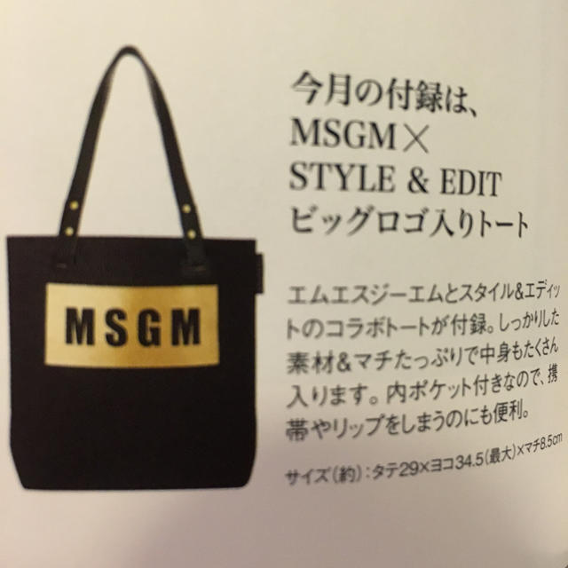 MSGM(エムエスジイエム)の大人MUSE ４月号付録 レディースのバッグ(トートバッグ)の商品写真