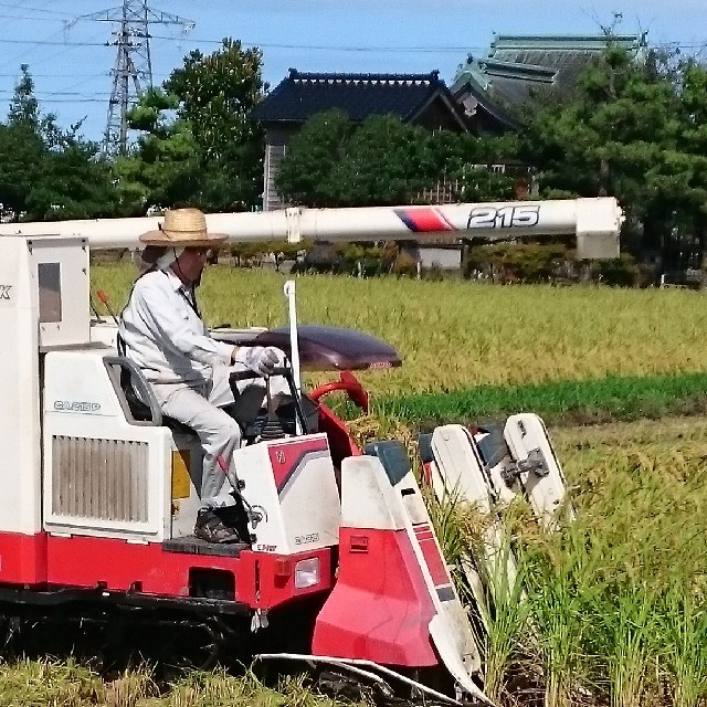 ✳️白米✳️富山県産1等米(検査済)コシヒカリ玄米20㎏を精米4.5㎏✖️4袋 食品/飲料/酒の食品(米/穀物)の商品写真