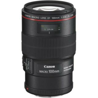 キヤノン(Canon)の【miiko様専用】EF100mm F2.8L マクロ IS USM×2本(レンズ(単焦点))