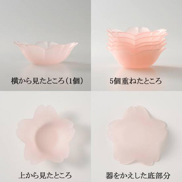 たち吉(タチキチ)のたち吉　はな　デザートセット インテリア/住まい/日用品のキッチン/食器(食器)の商品写真