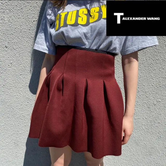 けました Alexander Wang - alexanderwang ミニスカートの通販 by S