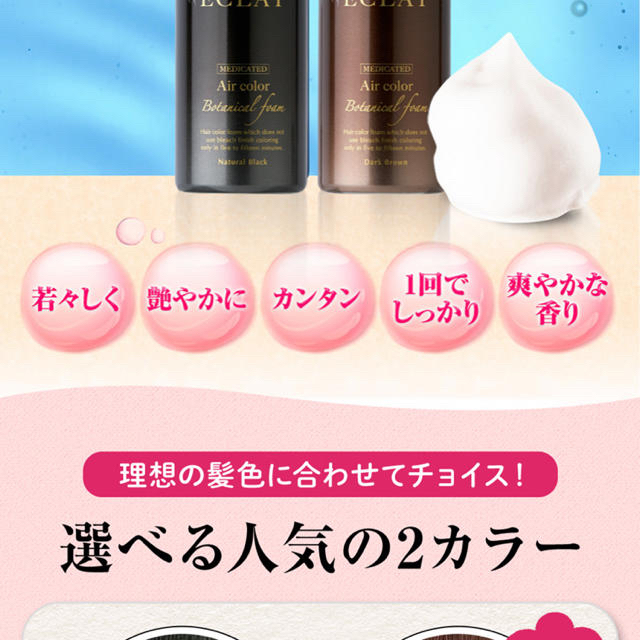 ヘアボーテ　エクラ　ボタニカル　エアカラーフォーム コスメ/美容のヘアケア/スタイリング(白髪染め)の商品写真