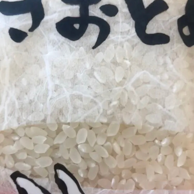 ふさおとめ　無洗米　10kg おこげ様専用 食品/飲料/酒の食品(米/穀物)の商品写真