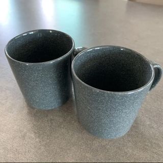 イッタラ(iittala)のiittala イッタラ TEEMAティーママグカップ300ml (グラス/カップ)