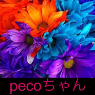 pecoちゃん(ヘアアクセサリー)