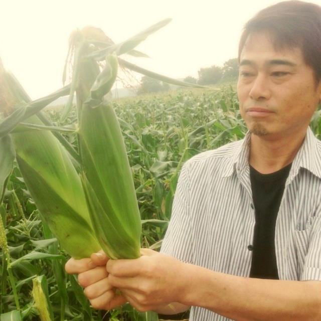 糖度18度以上！生でも食べられる熊本県産フルーツとうもろこし 食品/飲料/酒の食品(野菜)の商品写真