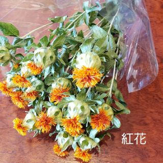 紅花(ドライフラワー)