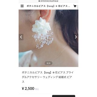 定価2500円　ボタニカルピアス(ピアス)