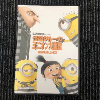 ミニオン(ミニオン)の怪盗グルーのミニオン大脱走 DVD(アニメ)