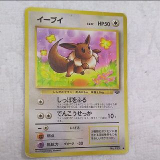 【参考写真】ポケモンカード　イーブイフレンズ　イーブイ　ブースター（旧柄モデル有