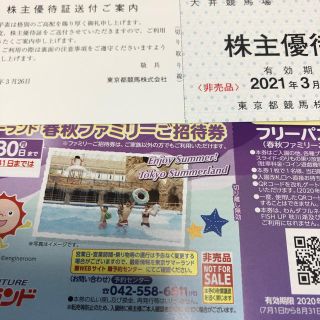 東京サマーランド 招待券・株主優待券10枚・2020年11月迄+2021年3月迄(遊園地/テーマパーク)