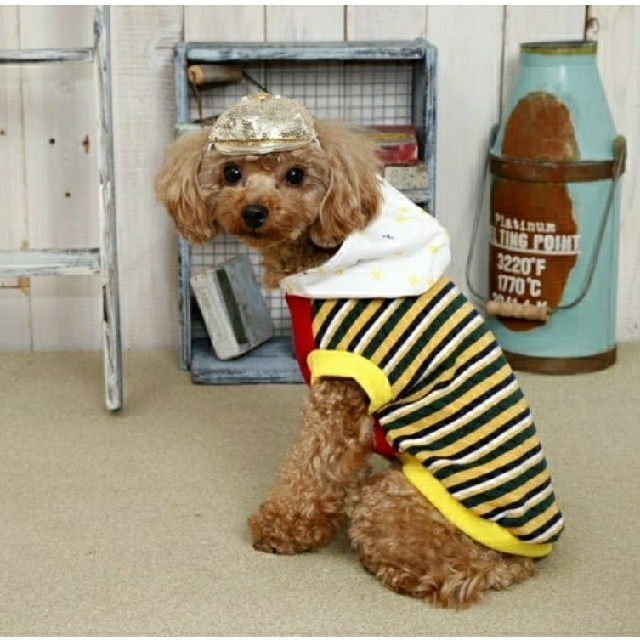 犬服　ボーダー　Lサイズ その他のペット用品(犬)の商品写真