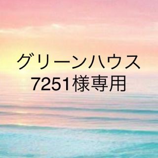 アールエムケー(RMK)のグリーンハウス7251様専用ページ(アイシャドウ)