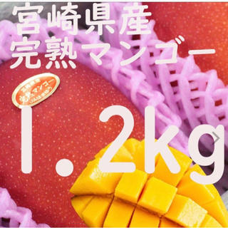 送料無料 完熟マンゴー 1.2kg 宮崎産 農協品 3玉〜5玉 市場直送　安い(フルーツ)
