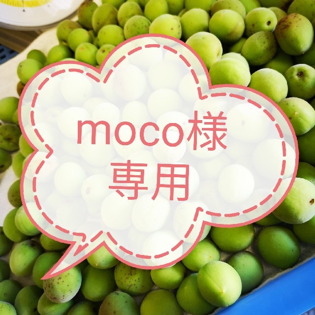 moco様専用　青梅２kg　Mサイズ～２Ｌサイズ 食品/飲料/酒の食品(フルーツ)の商品写真