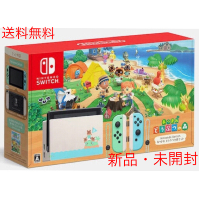 Nintendo Switch - Nintendo Switch 本体 あつまれどうぶつの森セット