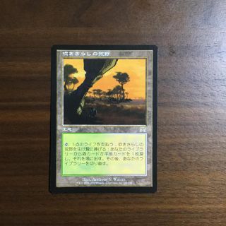 マジックザギャザリング(マジック：ザ・ギャザリング)のMTG 吹きさらしの荒野(シングルカード)