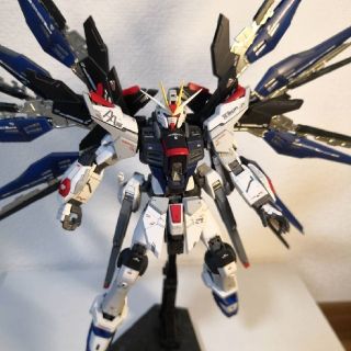 バンダイ(BANDAI)のフリーダムガンダム　組立塗装済(模型/プラモデル)