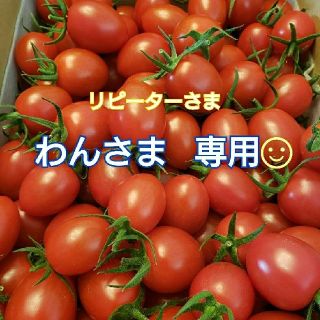 ６kg わんさま専用です☺ ミニトマト(野菜)