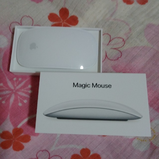 Magic Mouse2