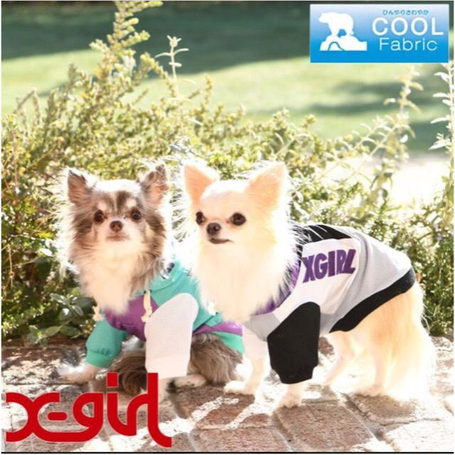X-girl(エックスガール)のx-girl グレー 2Lサイズ マルチカラーフーディー 犬服 クール その他のペット用品(犬)の商品写真