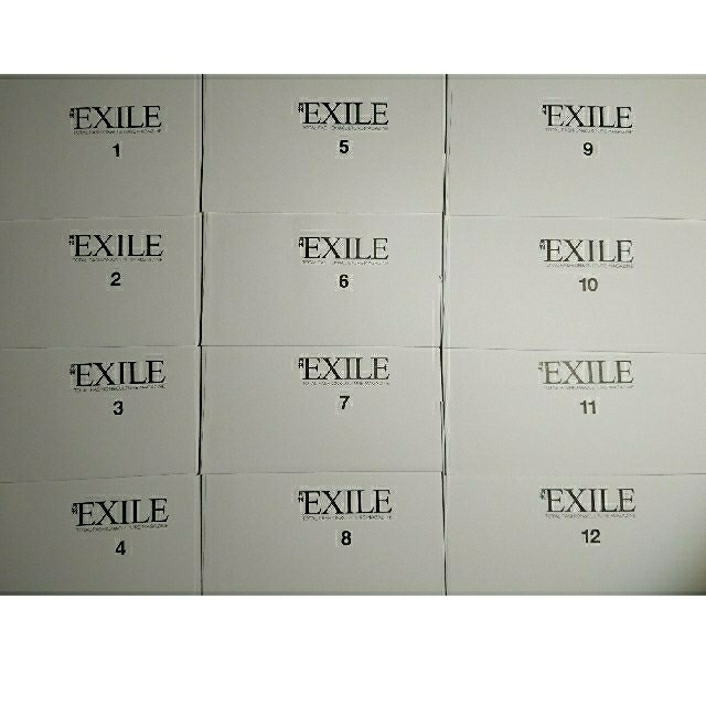 EXILE TRIBE(エグザイル トライブ)のpricedown 月刊EXILE 2012年1月～12月号 定期講読特典付き エンタメ/ホビーのタレントグッズ(ミュージシャン)の商品写真