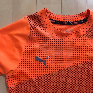 プーマ(PUMA)のTシャツ  プーマ(Tシャツ/カットソー)