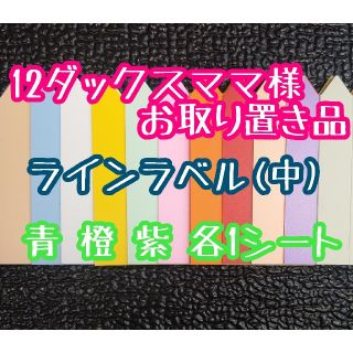 12ダックスママ様 お取り置き品(その他)