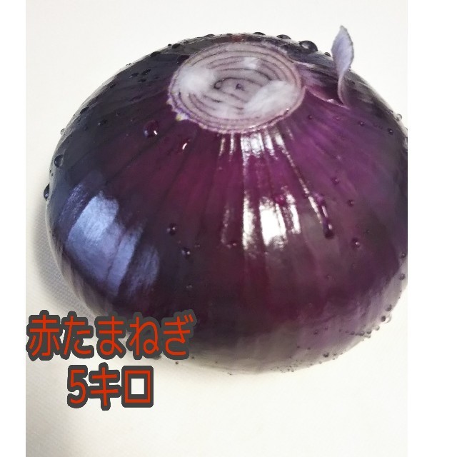 赤たまねぎ 5kg以上 箱に入るだけ 無農薬 食品/飲料/酒の食品(野菜)の商品写真