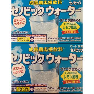 ロートセイヤク(ロート製薬)のセノビックウォーター　2箱　16袋(その他)