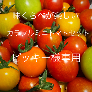 ピッキー様専用ミニトマトカラフルMIX 1.2キロ(野菜)