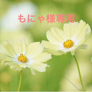 もにゃ様専用(カラージェル)