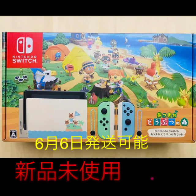 Nintendo Switch あつまれどうぶつの森セット