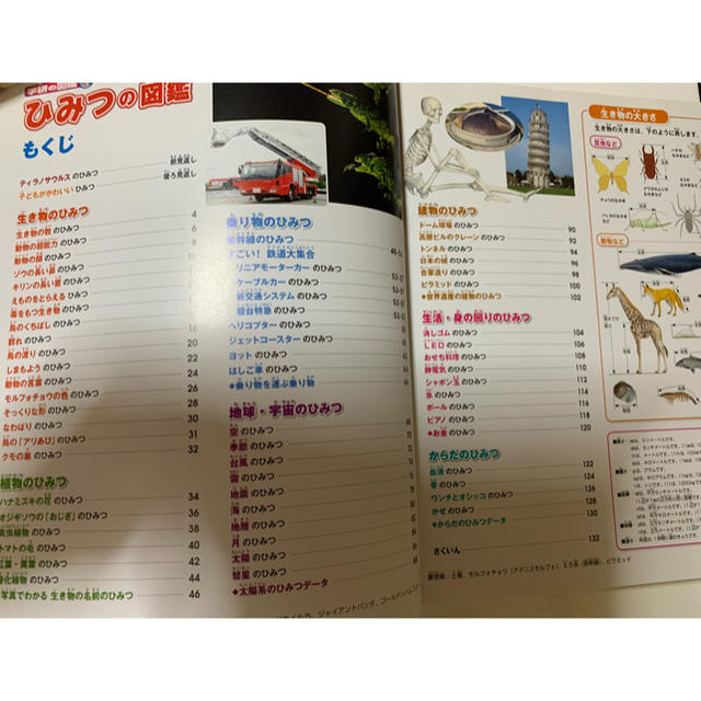 ひみつの図鑑 エンタメ/ホビーの本(絵本/児童書)の商品写真