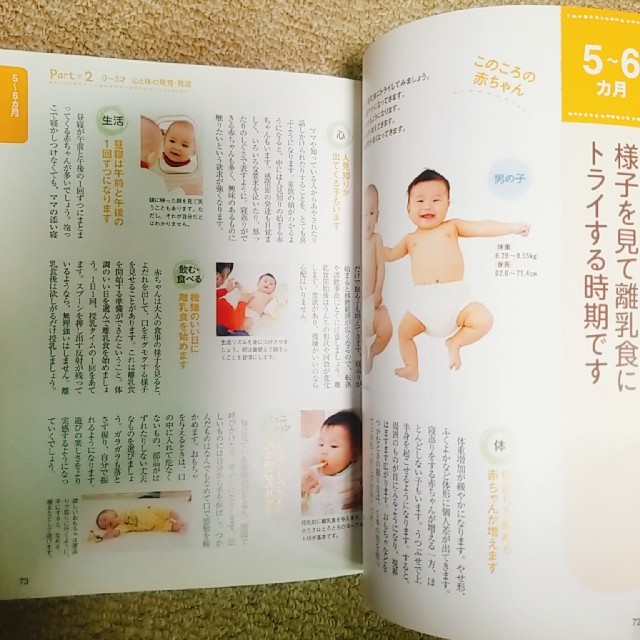 初めての育児 新生児から3才までの育児が月齢別にわかる!