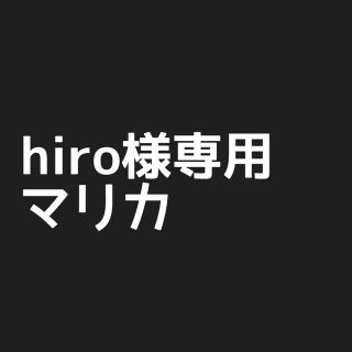 hiro様専用(その他)