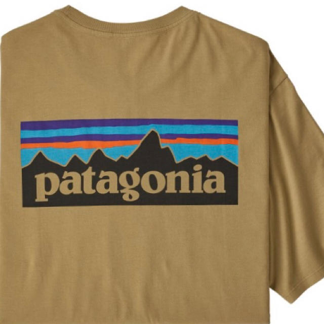 patagonia(パタゴニア)の新品タグ付 パタゴニア オーガニックコットンTシャツ ロゴ L メンズのトップス(Tシャツ/カットソー(半袖/袖なし))の商品写真