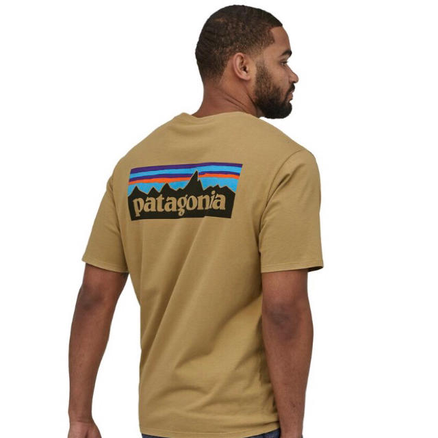 patagonia(パタゴニア)の新品タグ付 パタゴニア オーガニックコットンTシャツ ロゴ L メンズのトップス(Tシャツ/カットソー(半袖/袖なし))の商品写真