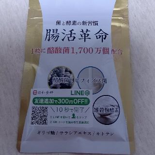 腸活革命サプリ【31日分】(ダイエット食品)