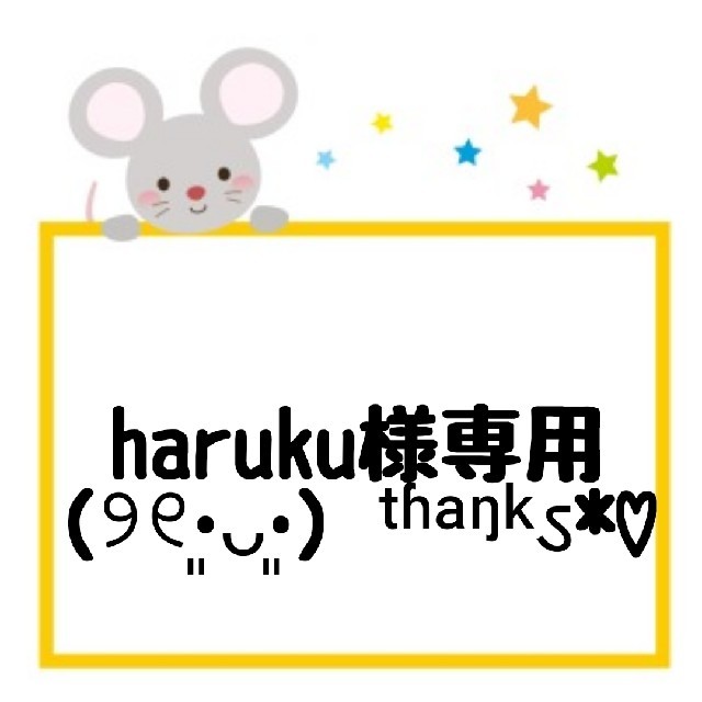 haruku様専用(୨୧•͈ᴗ•͈)◞ᵗʱᵃᵑᵏઽ*♡ エンタメ/ホビーのDVD/ブルーレイ(TVドラマ)の商品写真
