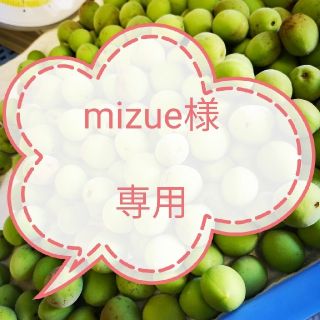 mizue様専用　クール便　訳あり青梅5kg　Mサイズ～2Lサイズ【無農薬 】(フルーツ)