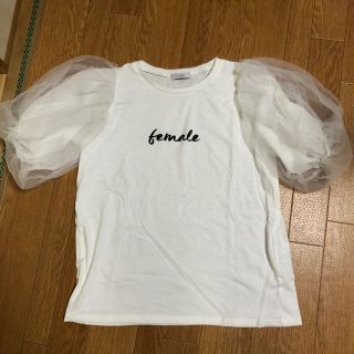 シマムラ(しまむら)のシフォンTシャツ(Tシャツ(半袖/袖なし))