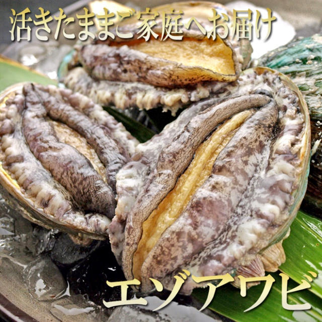 バロン様専用セット(アワビ7個✖️2、ハマグリ20個✖️2、平貝3枚 ...