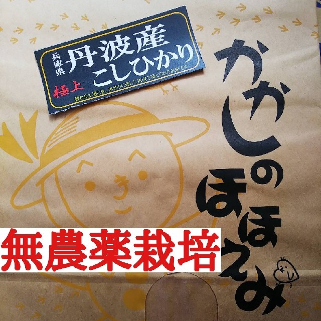 兵庫県丹波産無農薬栽培こしひかり玄米10㎏(令和元年産)