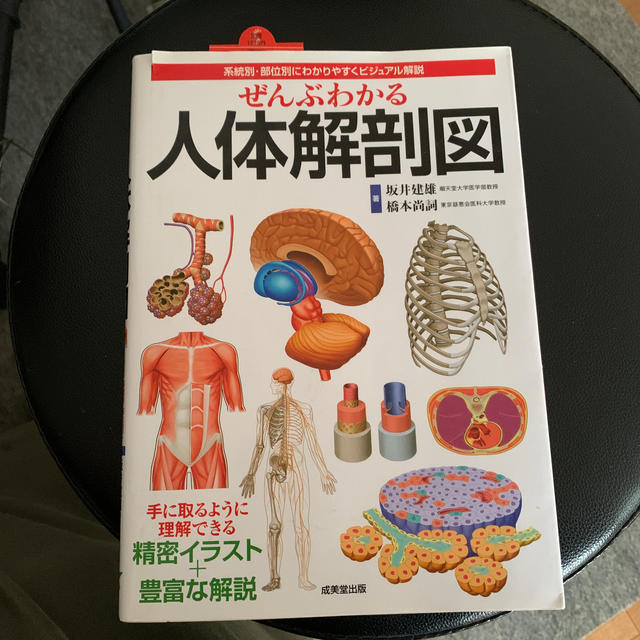 ぜんぶわかる人体解剖図 系統別・部位別にわかりやすくビジュアル解説 エンタメ/ホビーの本(健康/医学)の商品写真