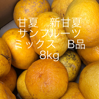 広島県産　新甘夏、サンプルーツ　甘夏　B品　8kg(フルーツ)