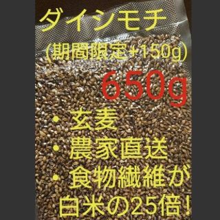 ダイシモチ 玄麦(米/穀物)